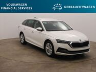 Skoda Octavia, 2.0 TDI Combi Style 85kW, Jahr 2022 - Braunschweig