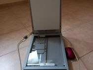 Scanner und PC Mouse - Türkheim