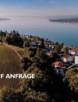 IHR LOGENPLATZ ÜBER DEM SEE - Historische Villa mit modernem Anbau - Überlingen