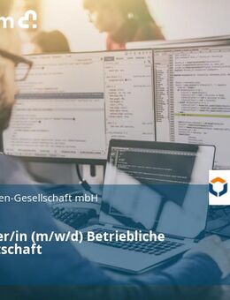 IT-Manager/in (m/w/d) Betriebliche Hafenwirtschaft - Lübeck