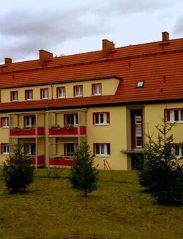 Komfortable Wohnung im Grünen - Bad Muskau