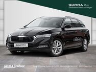 Skoda Octavia, 2.0 TSI Combi Style, Jahr 2024 - Neu Ulm