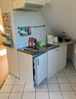 Apartement, hell, freundl., Westharz, Nähe OHA frei ! - Bad Grund (Harz)