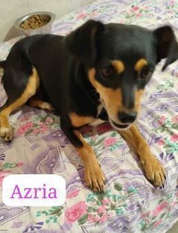 Kleines Wesen verzaubert alle........... - Wettenberg