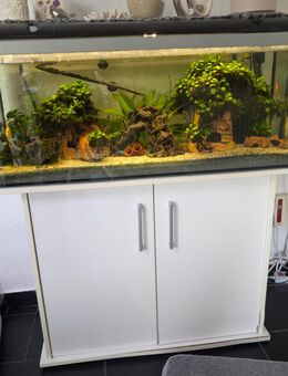 Aquarium zu verkaufen - Uchte