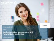 Kaufmännischer Assistent (m/w/d) Fachrichtung Marketing - Gelnhausen