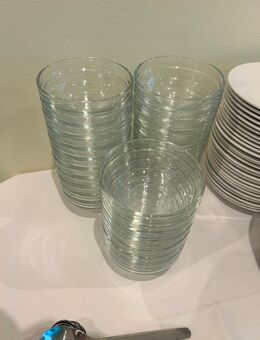 Dessertschüsseln zu vermieten - Dessau-Roßlau