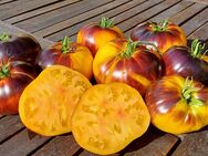 Kaleidoskopic Jewel, Tomatensamen - Oldenburg