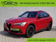 Alfa Romeo Stelvio, 2.2 B-Tech Q4 JTDM ANDROID #, Jahr 2019 - Wunsiedel