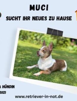 Muci-Kleine Seele sucht großes Herz - Lippetal