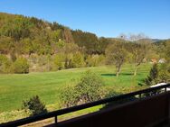 **SCHÖNE WOHNUNG MIT WEITBLICK IN LAUTENTHAL * EBK * BALKON * GARAGE ** - Langelsheim
