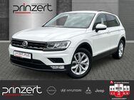 VW Tiguan, 1.4 TSI "Comfortline " Ambiente-PAket, Jahr 2017 - Rödermark