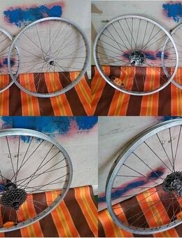 Ein Paar Fahrrad Alesa Alu Felgen 24 Zoll Räder 6 Gang - Volketswil