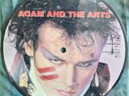 Adam and the Ants 7" Picturedisc - Barntrup