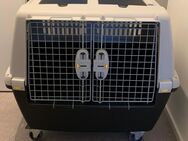 Hundetransportbox - Ingolstadt