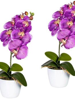 Kunstpflanze Orchidee Phalaenopsis Orchidee, Creativ green, Höhe 40 cm, im Keramiktopf
