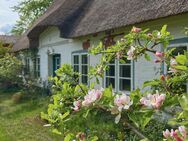 Charmantes Angeliter Landhaus unter Reet, malerisch zwischen Feldern gelegen - Uelsby