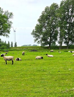 An der Nordseeküste ist` s zu jeder Jahreszeit am schönsten! Mit Terrasse, Freisitz und Wintergarten - Westerdeichstrich