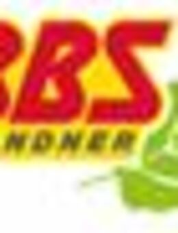 Sachbearbeiter Kleinbus (m, w, d) - Mindelheim