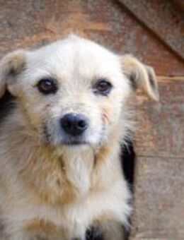 Leano wartet schon auf dich! - München