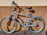 „Kettler-Alu“-Herren-Fahrrad Typ „Pendo“, 28 Zoll - Wuppertal