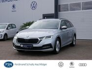 Skoda Octavia, 2.0 TDI Combi Ambition SITZ, Jahr 2021 - Rostock