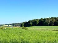 ***Charmantes Anwesen im Grünen*** – Ihr Traum vom Landleben wird wahr - Seubersdorf (Oberpfalz)