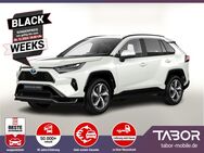 Toyota RAV 4, 2.5 306 ECVT eHK Bi, Jahr 2024 - Kehl