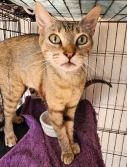 Margarita - eine ganz liebe Maus - Aichwald