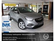 Opel Grandland X 1.2Turbo Edition LED*NAVI*SPUR*TEMP. - Nürtingen