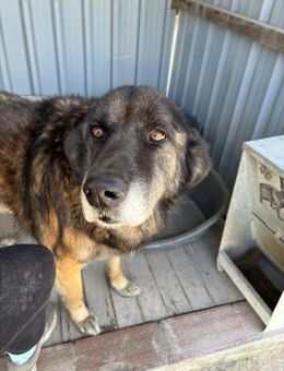 ULISSES - VIEL ZUM LIEB HABEN - Mönchengladbach