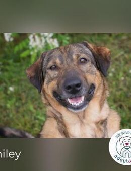 Smiley -Immer ein Lächeln auf den Lippen - Kirchzell