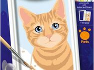 Ravensburger Malen nach Zahlen CreArt, Niedliche Katze, Made in Europe