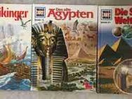 Was ist was: Die Wikinger (Band 58) • Das alte Ägypten (Band 70) • Die sieben Weltwunder (Band 81) - Hürth