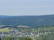 Einzigartige Berghütte auf dem Aschberg! - Klingenthal