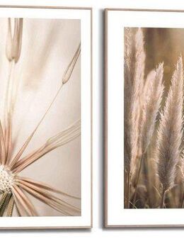 Reinders! Wandbild Natur Botanisch - Pampas - Löwenzahn - Nahaufnahme, (2 St)