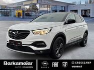 Opel Grandland X, 1.2 Turbo 120 Jahre, Jahr 2019 - Münster