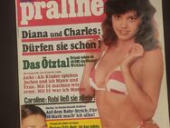 praline 1981/03 Nr. 12 - München