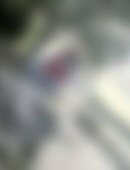 Inc*** - Radolfzell (Bodensee)