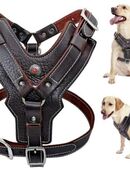 Hundegeschirr f.große Hunde in 01309