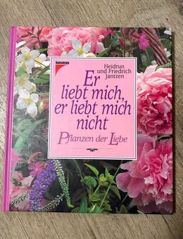 Er liebt mich er liebt mich nicht - Greifswald