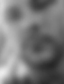 Nor*** - Coswig (Anhalt)