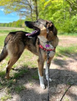 Lieber,sportlicher Mischa - Berlin