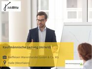 Kaufmännische Leitung (m/w/d) - Halle (Westfalen)