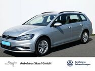 VW Golf Variant, 1.6 TDI Comfortline |Comfortline|, Jahr 2018 - Nidderau