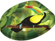 Sanilo WC-Sitz Toucan, mit Absenkautomatik, BxL: 37,7 x 42,0 - 47,0 cm