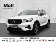 Volvo XC40 Plus Dark 2WD B3 EU6d digitales Cockpit Memory Sitze Soundsystem HarmanKardon LED - Aachen