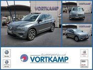 VW Tiguan, 2.0 TDI, Jahr 2020 - Gronau (Westfalen)