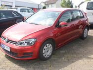 VW Golf, 1.6 Comfortline CLBMT 77 fTDIM5F, Jahr 2015 - Bad Iburg