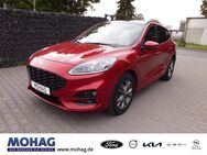 Ford Kuga, 2.0 Hybrid EcoBlue M-EU6d-T ST-Line X El Panodach digitales, Jahr 2020 - Gelsenkirchen